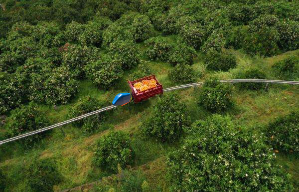 運輸系統(tǒng)-果園